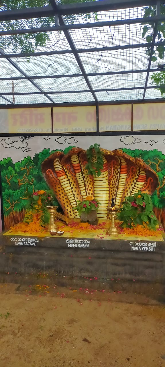 Mannarasala Ayilyam Pooja  on 2nd Nov. 2026